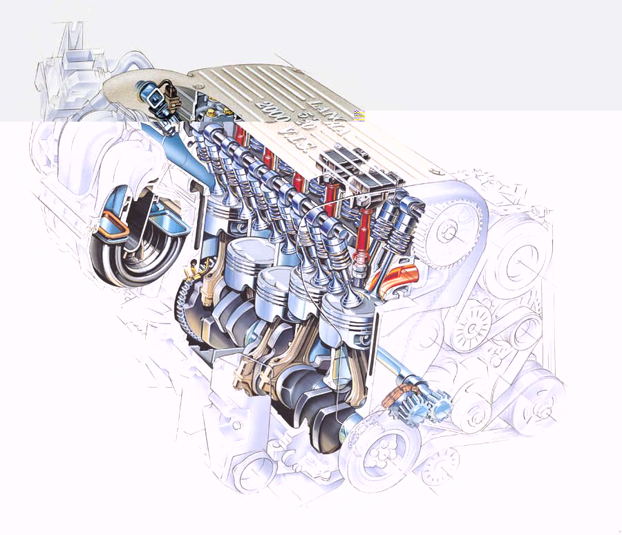 L5.jpg